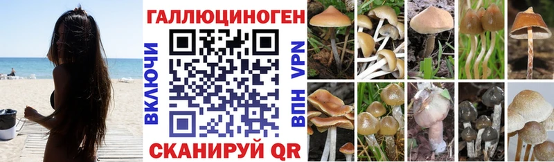 Псилоцибиновые грибы мицелий  даркнет сайт  Наволоки 